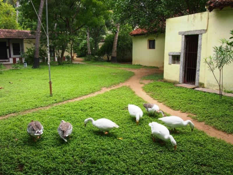 Indeco Hotels Swamimalai Kumbakonam Exterior photo